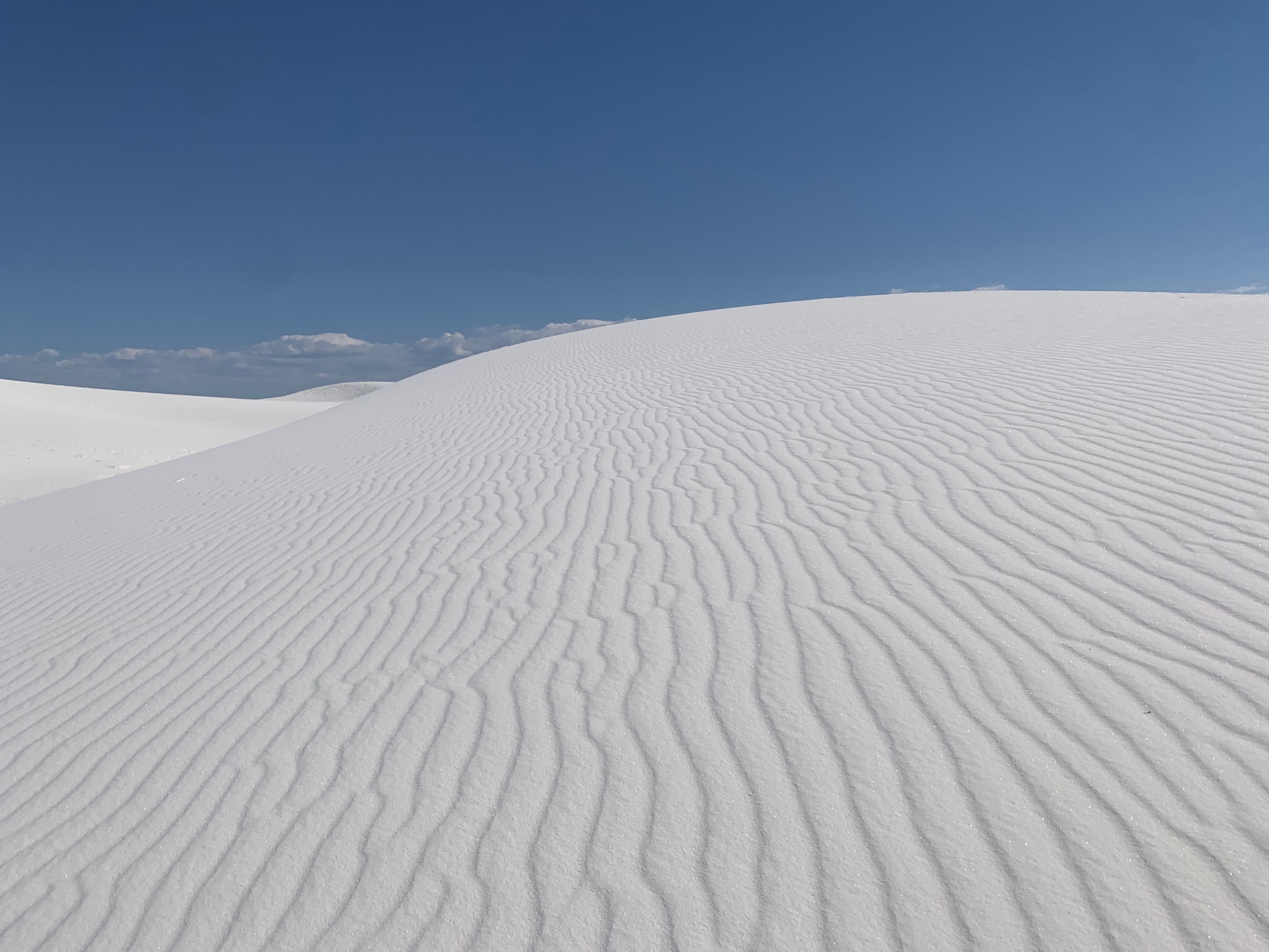 White Sands National Park: Wild & Worth It!