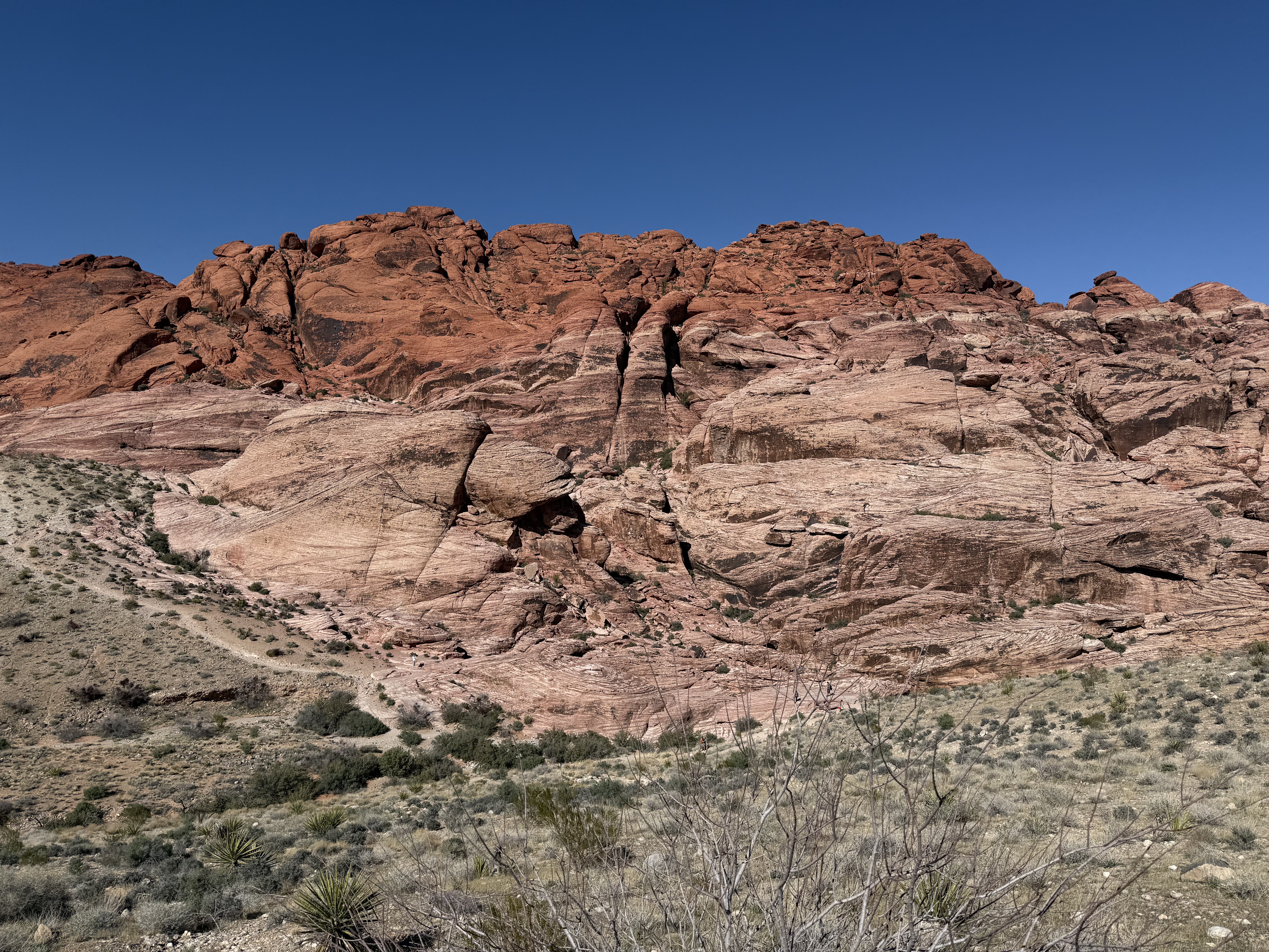 Visiting Red Rock Canyon National Conservation Area: Scenic Drive + Calico Hills