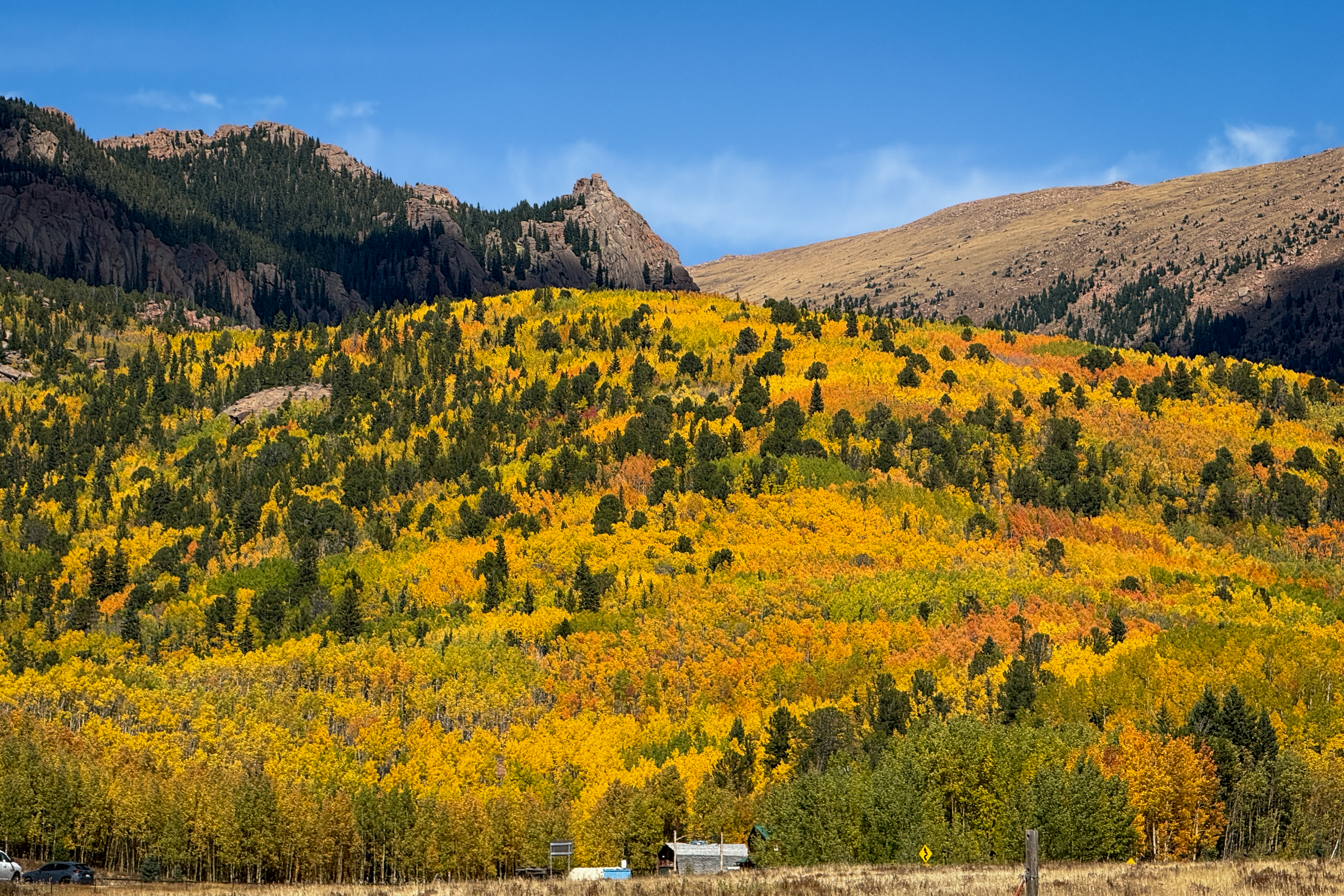 Fall Leaf Peeping near Cripple Creek, Colorado